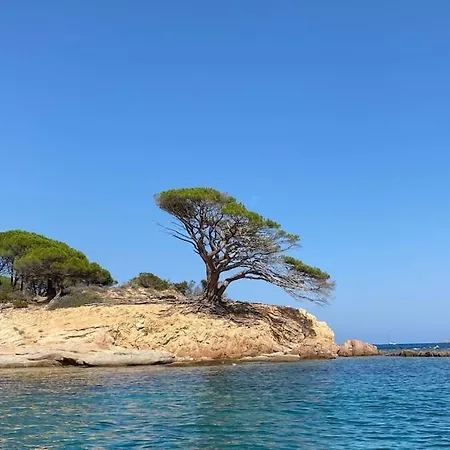 Апартаменти Magnifique T3 A Santa-giulia Porto-vecchio Порто-Веккіо
